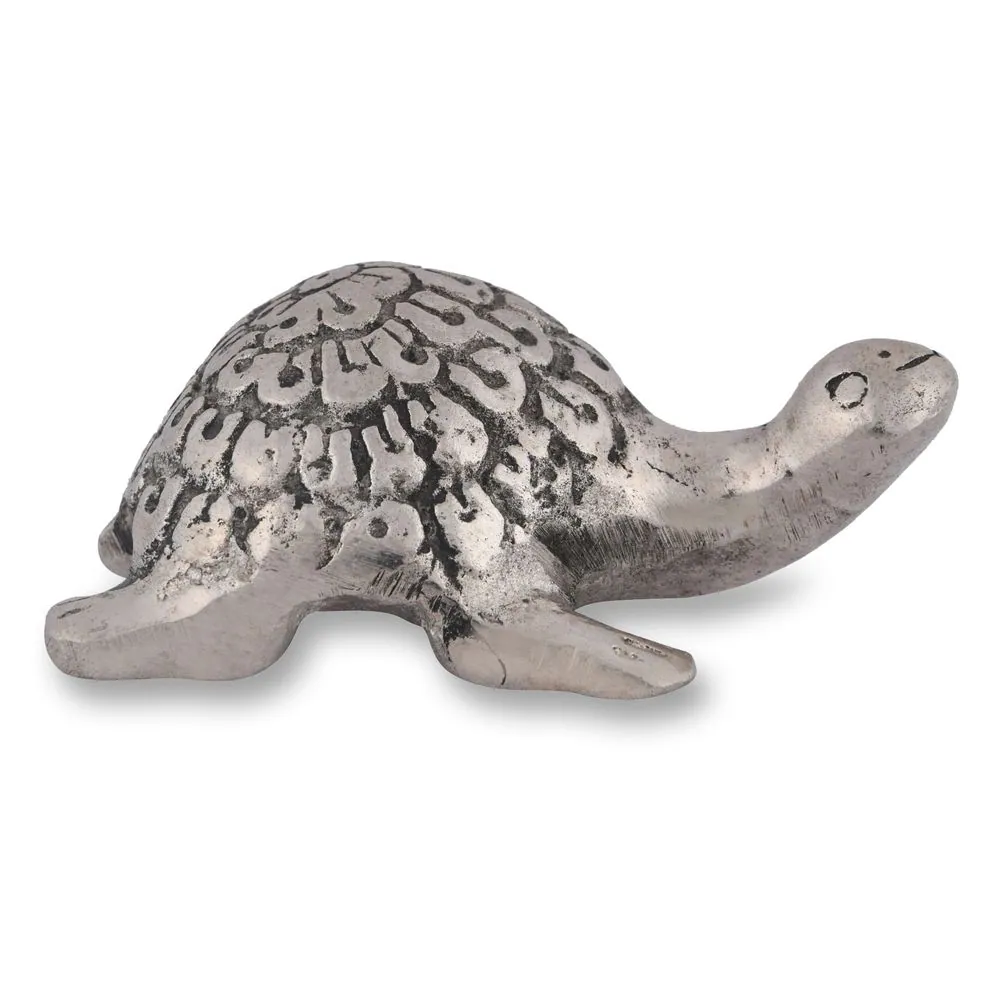 Tortoise Solid No. 1, photo 1 of 5