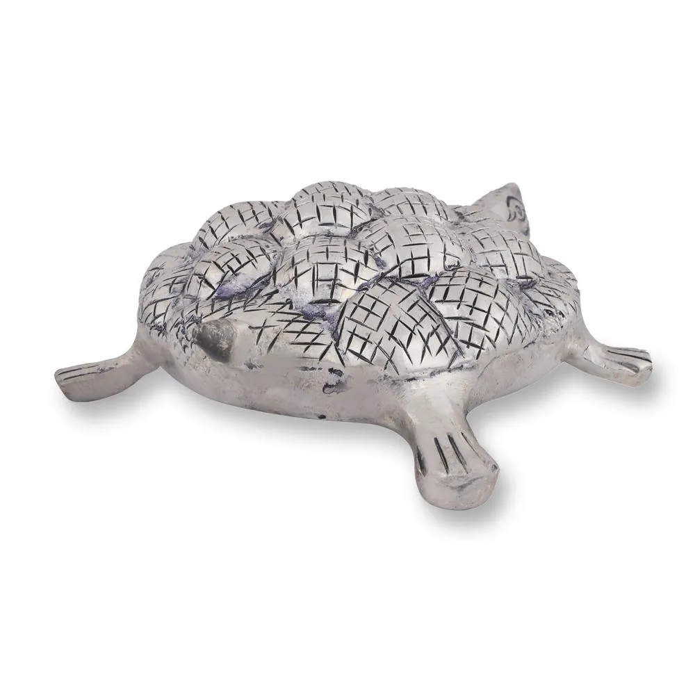 Tortoise Solid No. 4, photo 1 of 5
