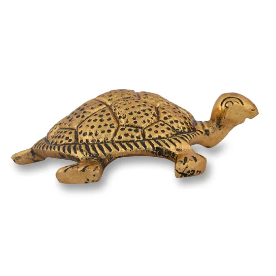 Tortoise Hollow Small
