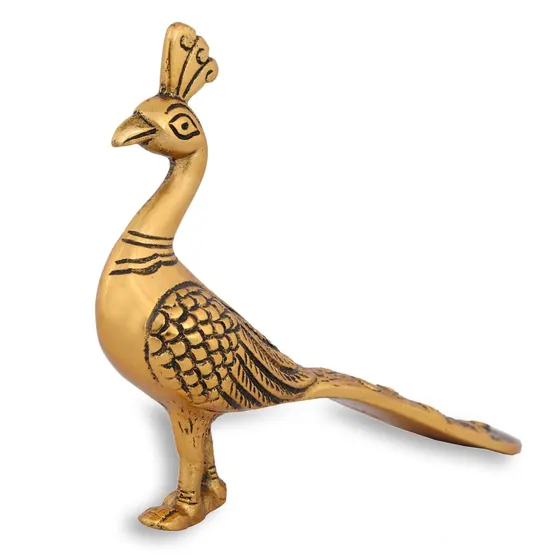 Peacock Sitting Solid