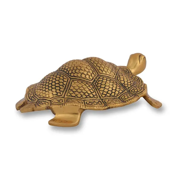 Tortoise Hollow Big