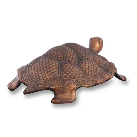 Tortoise Hollow Big Copper Color